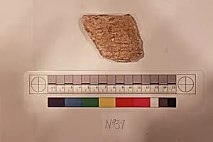 Stucco Fragment by Unknown Artist