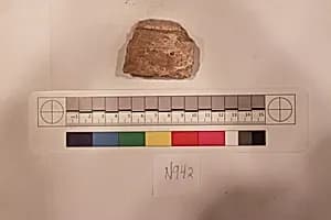 Stucco Fragment by Unknown Artist