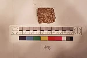 Stucco Fragment by Unknown Artist