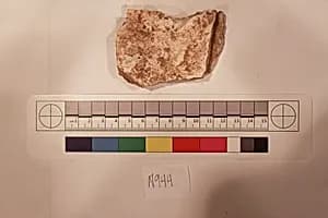 Stucco Fragment by Unknown Artist