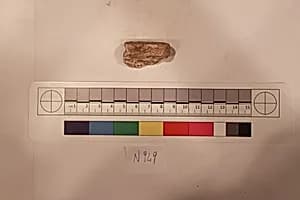 Stucco Fragment by Unknown Artist