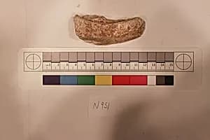 Stucco Fragment by Unknown Artist