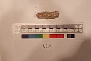Stucco Fragment by Unknown Artist