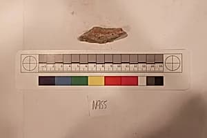 Stucco Fragment by Unknown Artist