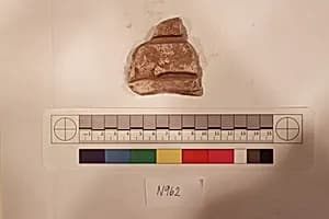 Stucco Fragment by Unknown Artist