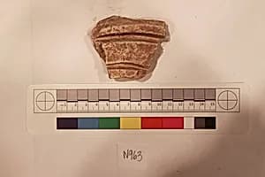 Stucco Fragment by Unknown Artist