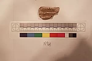 Stucco Fragment by Unknown Artist