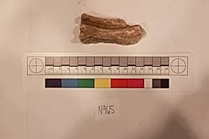 Stucco Fragment by Unknown Artist