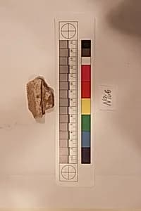 Stucco Fragment by Unknown Artist