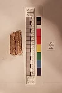 Stucco Fragment by Unknown Artist