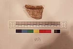 Stucco Fragment by Unknown Artist