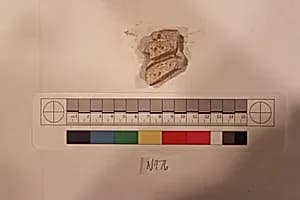 Stucco Fragment by Unknown Artist