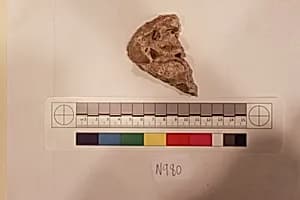 Stucco Fragment by Unknown Artist