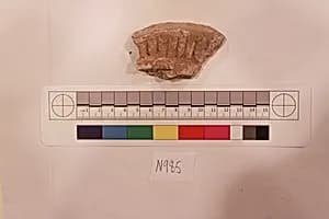 Stucco Fragment by Unknown Artist