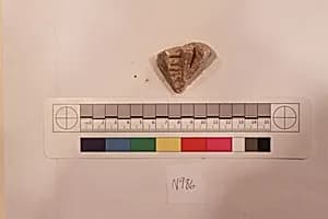 Stucco Fragment by Unknown Artist