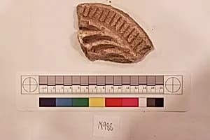 Stucco Fragment by Unknown Artist
