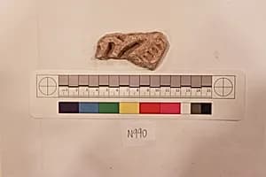 Stucco Fragment by Unknown Artist