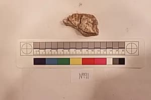 Stucco Fragment by Unknown Artist