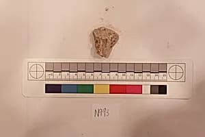 Stucco Fragment by Unknown Artist