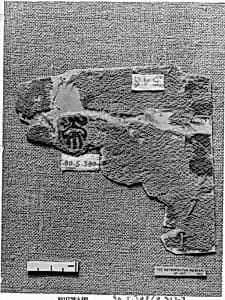 Textile Fragment by Unknown Artist