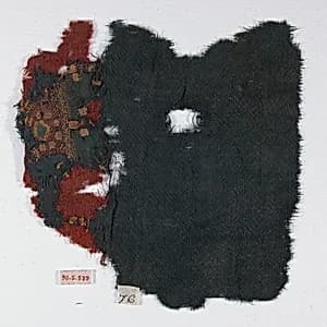 Textile Fragment by Unknown Artist
