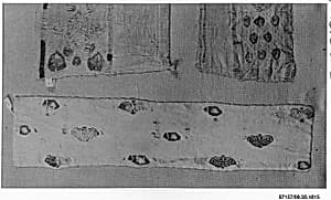 Textile Fragment by Unknown Artist