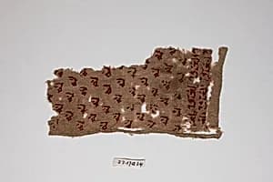 Textile Fragment by Unknown Artist