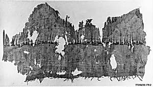 Textile Fragment by Unknown Artist