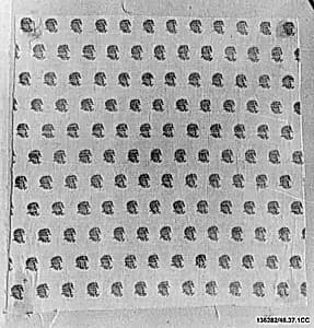 Textile Fragment by Unknown Artist