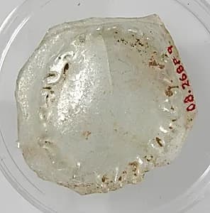 Bottom of a Vessel with Foot by Unknown Artist