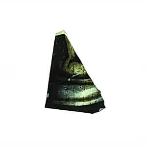 Fragment by Unknown Artist