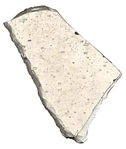 Fragment by Unknown Artist