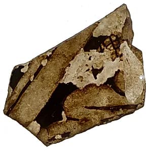Fragment by Unknown Artist