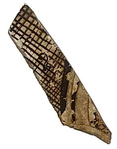 Fragment by Unknown Artist