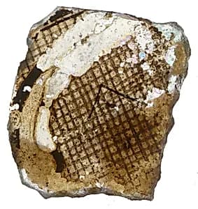 Fragment by Unknown Artist