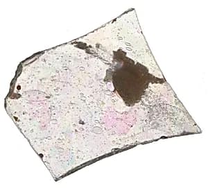 Fragment by Unknown Artist