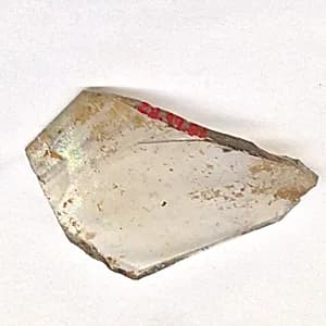 Fragment by Unknown Artist