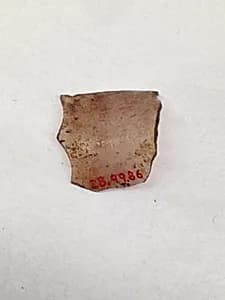 Fragment by Unknown Artist