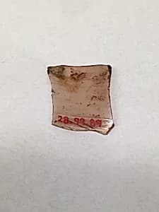 Fragment by Unknown Artist