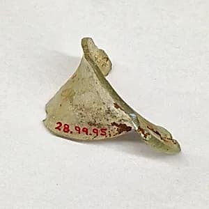 Fragment by Unknown Artist
