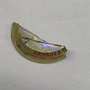Fragment by Unknown Artist