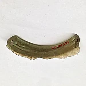 Fragment by Unknown Artist
