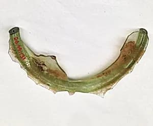 Fragment by Unknown Artist