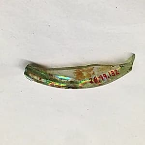 Fragment by Unknown Artist