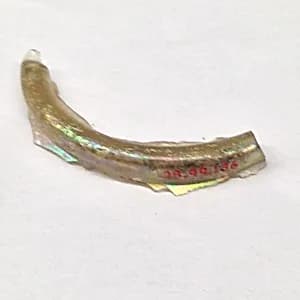 Fragment by Unknown Artist