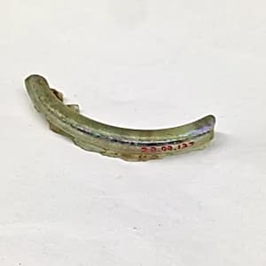 Fragment by Unknown Artist