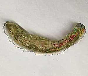 Fragment by Unknown Artist