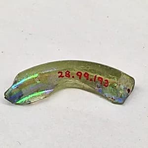Fragment by Unknown Artist