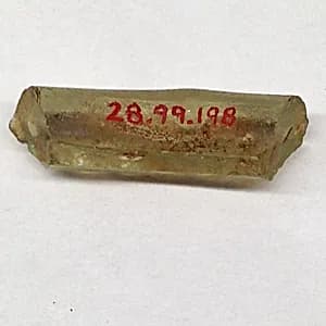 Fragment by Unknown Artist