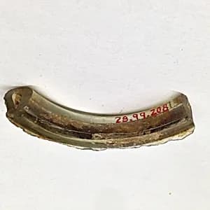 Fragment by Unknown Artist